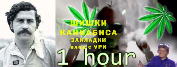 2c-b Мегион