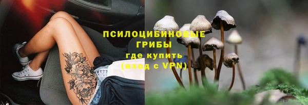 2c-b Мегион