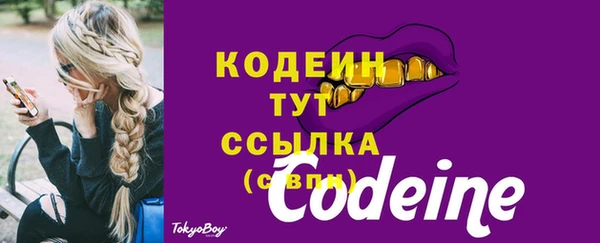 2c-b Мегион