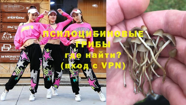 а пвп мука Магас