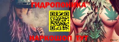 mix Гатчина