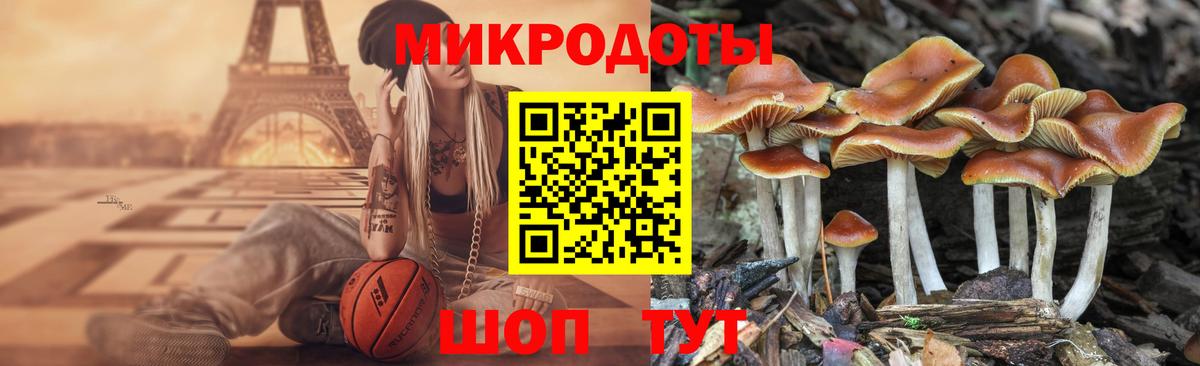 Псилоцибиновые грибы GOLDEN TEACHER  Псилоцибиновые грибы мицелий  Вход с VPN  Изобильный 